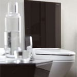 Popular - Geberit Monolith