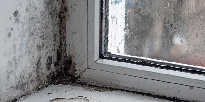 Popular - SELECT and Aico urge Scotland’s landlords to prepare for new damp and mould regulations