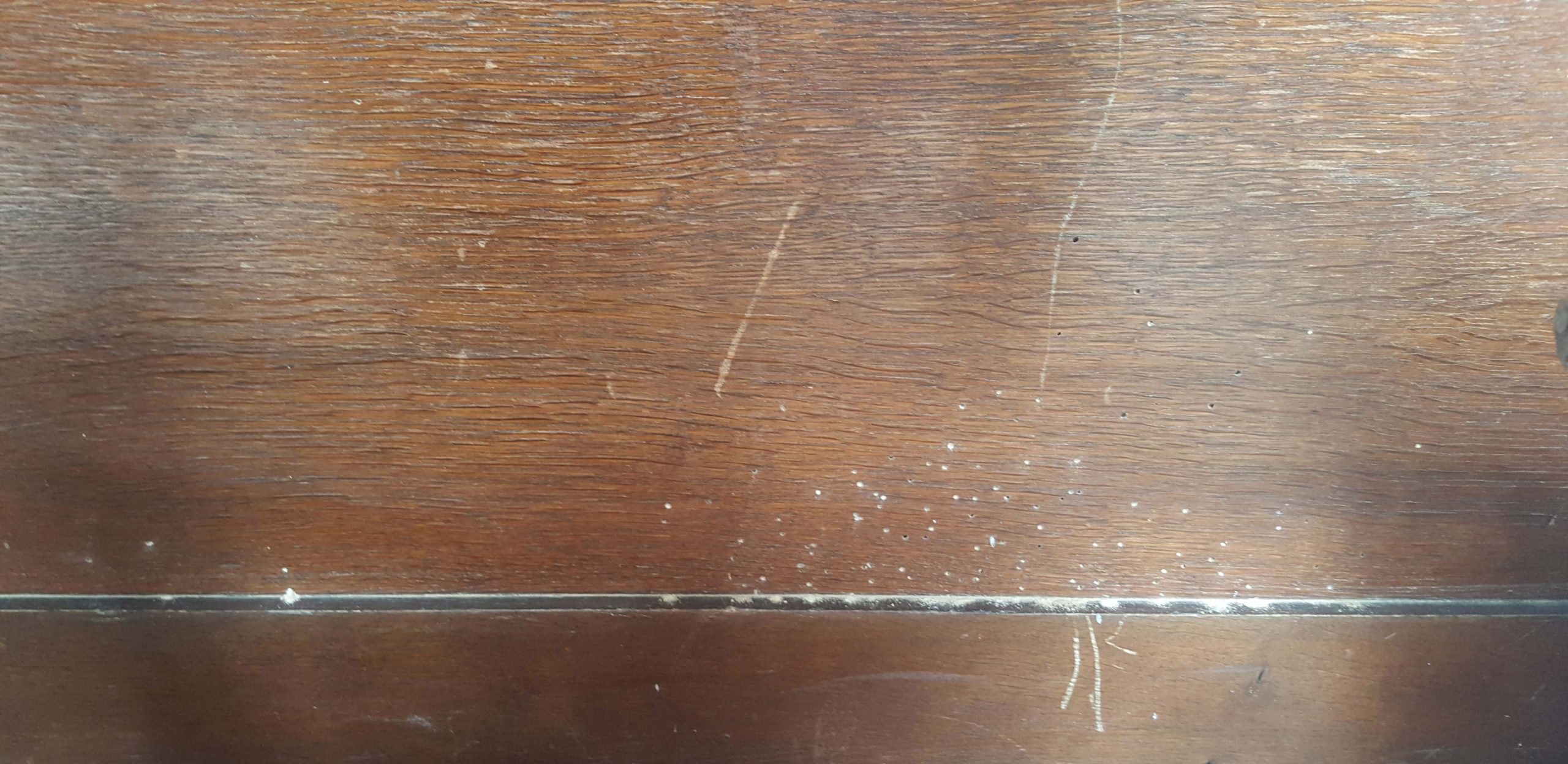 Specialist survey can ensure compliance on woodworm